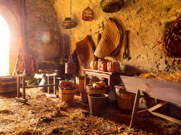 Araçlar ve bir ortaçağ dönemine ait olan nesneleri