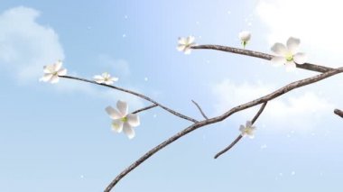 Emil ağacı, geçiş (dahil Alfa üfleme beyaz çiçek)