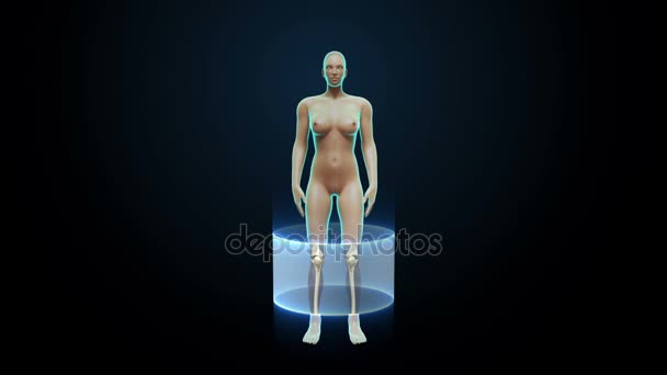 Rotierende Frau, scannendes Herz-Kreislauf-System, Skelettstruktur, Knochensystem, blaues Röntgenlicht. — Stockvideo