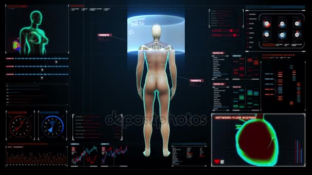 Rotativa Feminino Sistema cardiovascular humano, estrutura esquelética, sistema ósseo em painel de exibição digital. Luz de raios X azul . — Vídeo de Stock