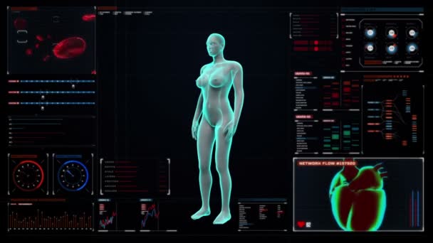 Scansione vaso sanguigno nel corpo femminile nel cruscotto del display digitale. Vista a raggi X — Video Stock