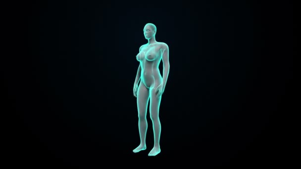 Масштабування жіночого сканування тіла . — стокове відео