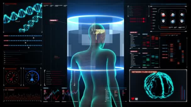 Scanning Brain in female body in digital display dashboard (en inglés). Vista de rayos X. HD . — Vídeo de stock