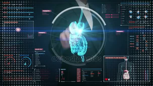 Businesswoman touching digital screen, Zooming body scanning internal organs, Digestion system in digital display.Blue X-ray view. — Stock Footage Businesswoman touching digital screen, Zooming body scanning internal organs, Digestion system in digital display.Blue X-ray view. Royalty Free Stock Video
