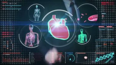Dokunmadan dijital ekran, kadın bedeninin lenfatik damar tarama, kalp, dolaşım sistemi dijital gösterge tablosu içinde iş adamı. Mavi x-ışını görünümü. 