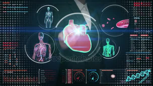 Femme d'affaires touchant écran numérique, corps féminin scannant vaisseau sanguin, lymphatique, coeur, système circulatoire dans le tableau de bord d'affichage numérique. Vue radiographique bleue . — Video