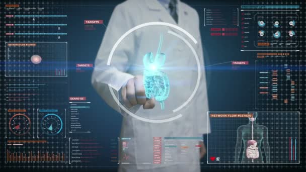 Doctor touching digital screen, Zooming body scanning internal organs, Digestion system in digital display.Blue X-ray view. — Stock Footage Doctor Touching Digital Screen Zooming Body Scanning Internal Organs Digestion Royalty Free Stock Footage
