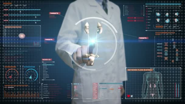 医生触摸数字屏幕 扫描数字显示仪表板中的肾脏 光视图 — 图库视频影像