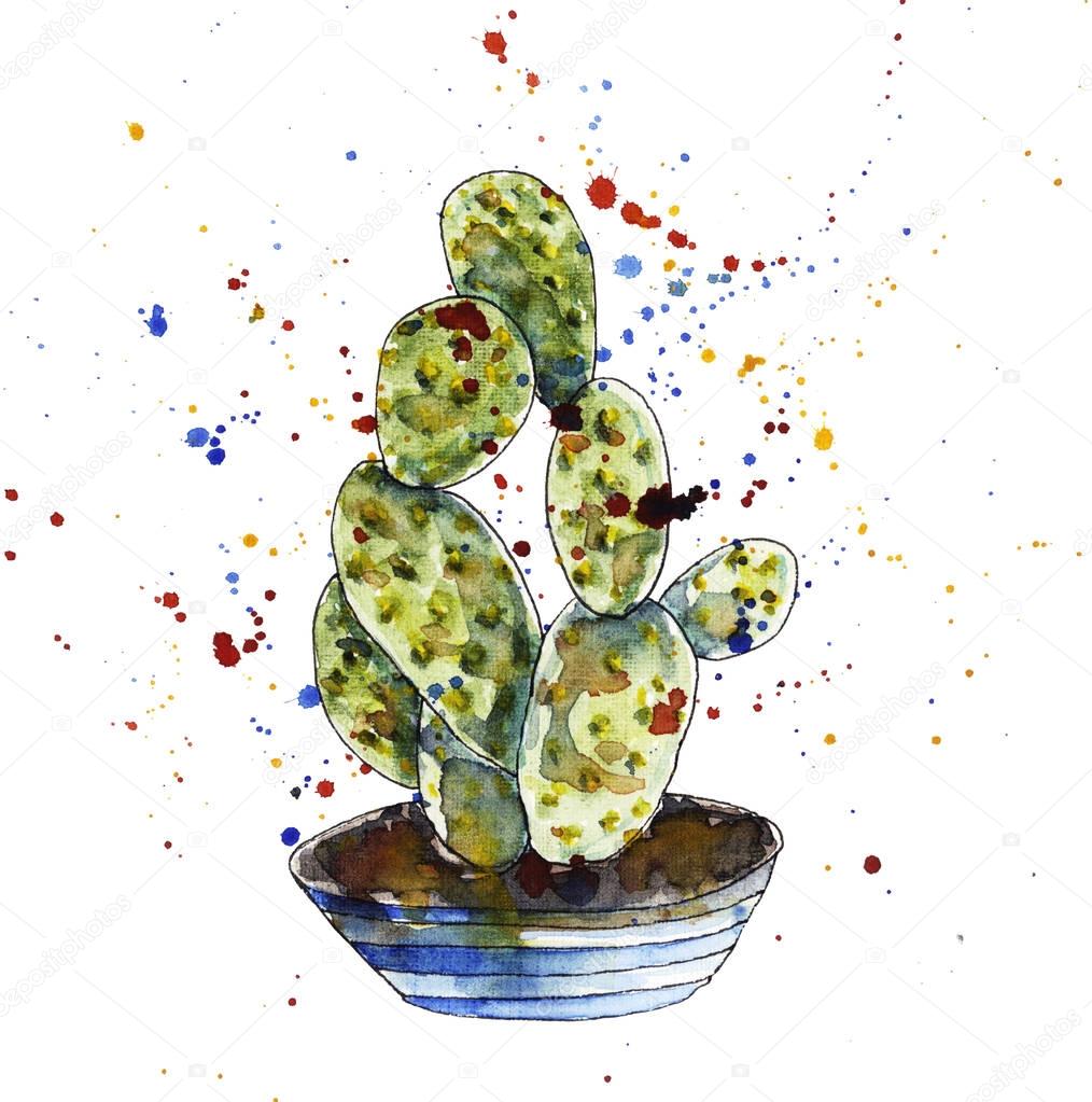 Cactus in watercolor