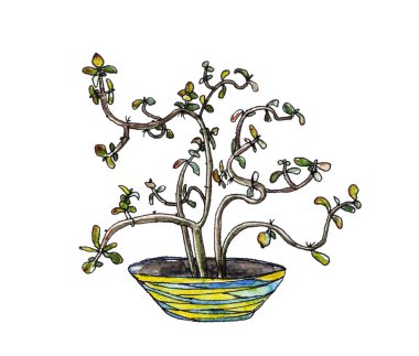 Cactus money tree in watercolor clipart