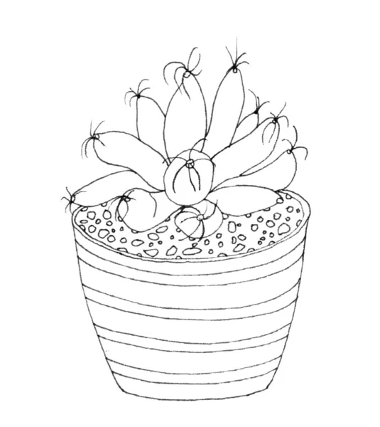 Kaktus in Federzeichnung — Stockfoto