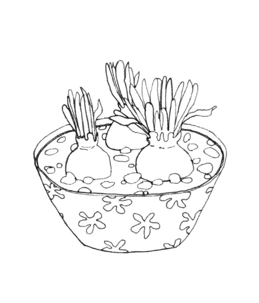 Kaktus v kresba perem — Stock fotografie