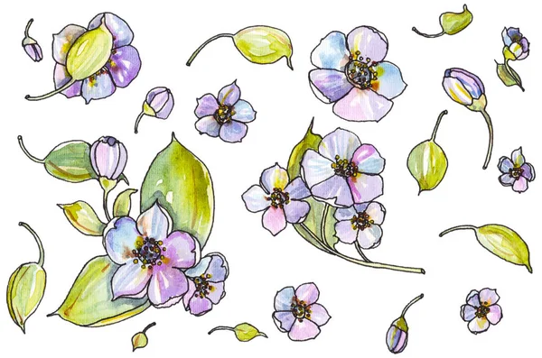 bahar çiçekleri suluboya resim