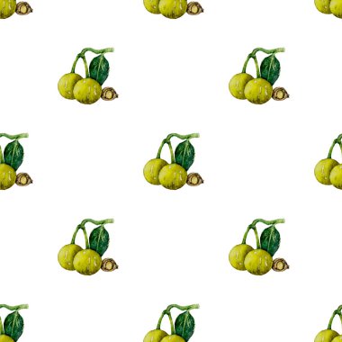Vector seamless pattern made from watercolor painting of tamanu nut clipart