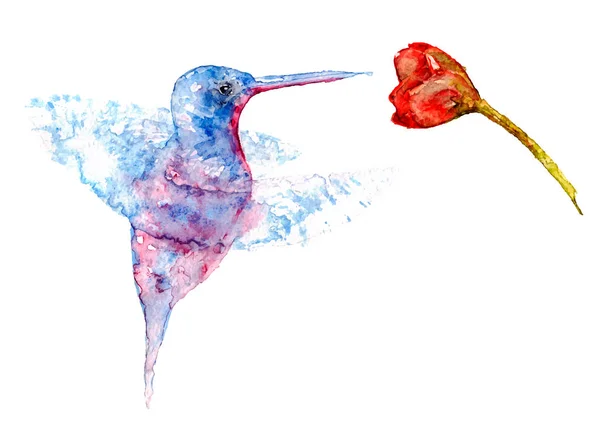 Hummingbird e fiore in schizzo acquerello — Vettoriale Stock