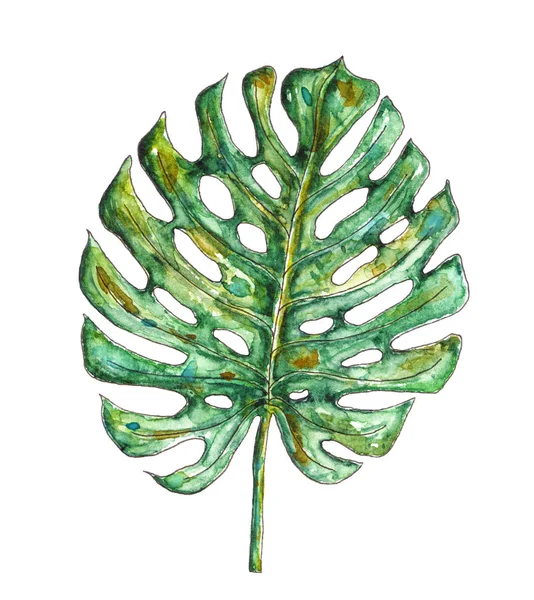 Grüne Aquarell-Palmblätter — Stockfoto