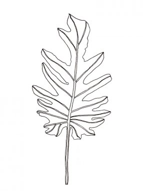 Kalem illüstrasyon palmiye yaprakları