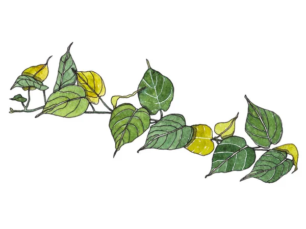 水彩のヤシの葉 — ストック写真
