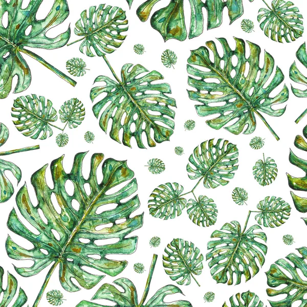 Suluboya monstera yaprakları