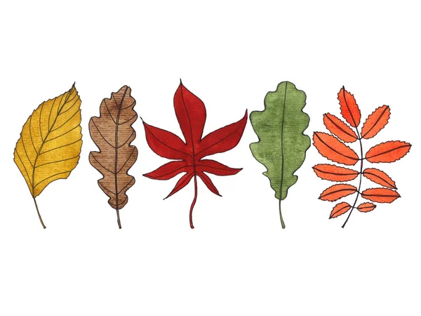 Watercolor autumn leaves — Stock Photo, Image