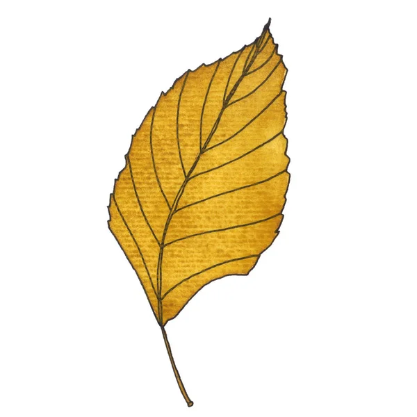 Acuarela hojas de otoño — Foto de Stock