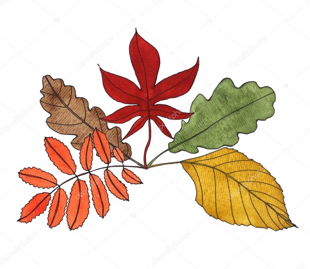 Watercolor autumn leaves wreath