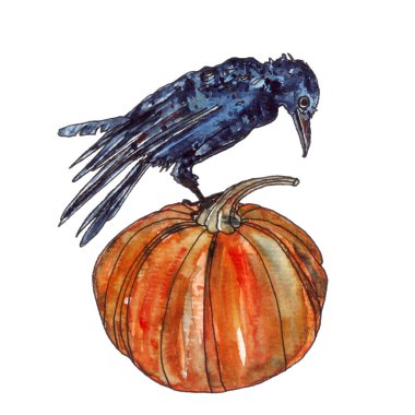 Cadılar Bayramı Balkabağı ve suluboya crow