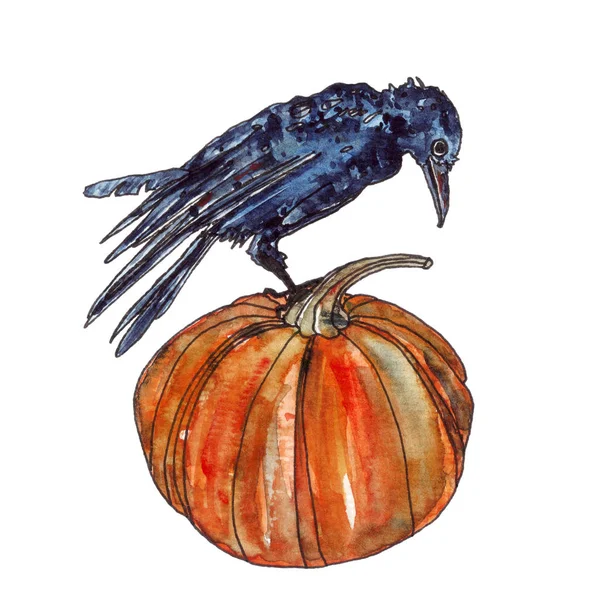 Halloween-Kürbis und Krähe in Aquarell — Stockfoto