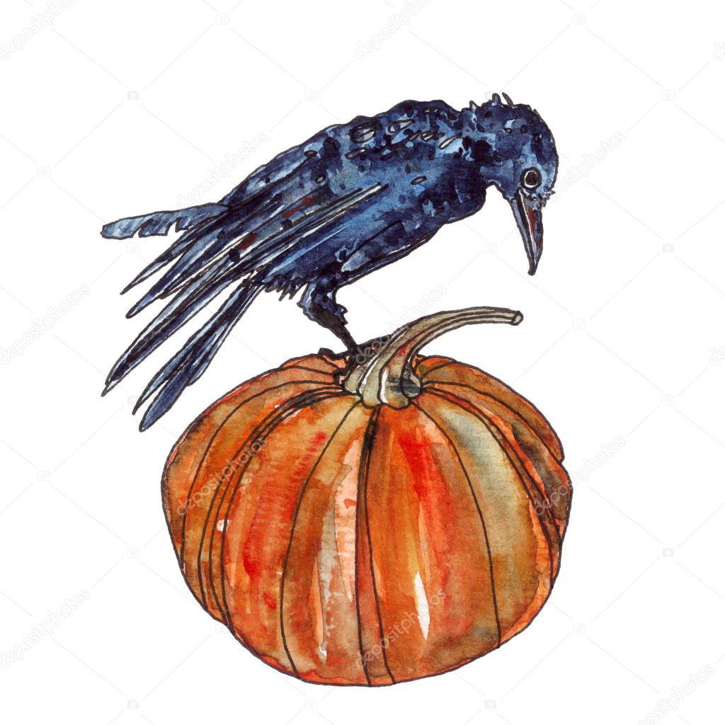 Halloween pumpkin and crow in watercolor
