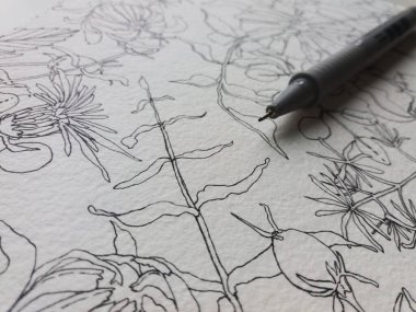 Sanat stüdyosu, çizim süreci, resimler, sanat malzemeleri, çiçekler, suluboya, kalemler, botanik illüstrasyon