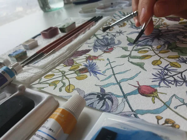 艺术工作室 绘画工艺 艺术材料 水彩画 植物图解 — 图库照片