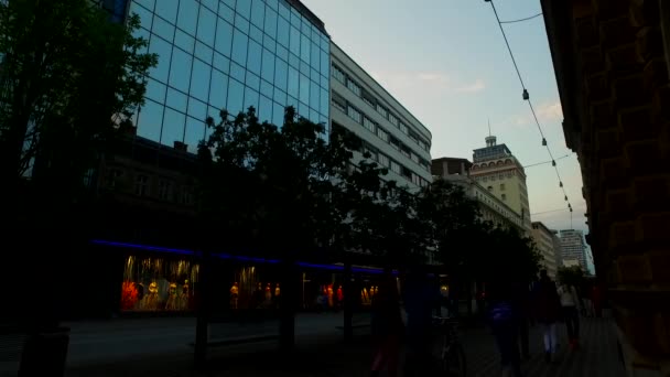 Shadows Silhouettes Night Street — Stock video