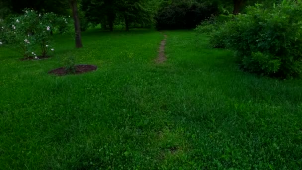 Een Dag Een Prachtig Voorjaarspark Schaduwen Schaduwen Van Bomen — Stockvideo