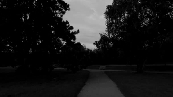 Sentier Noir Dans Parc — Video