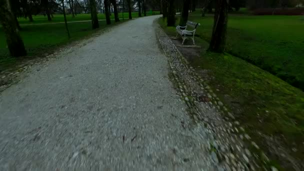 雪のない冬の公園を歩く — ストック動画
