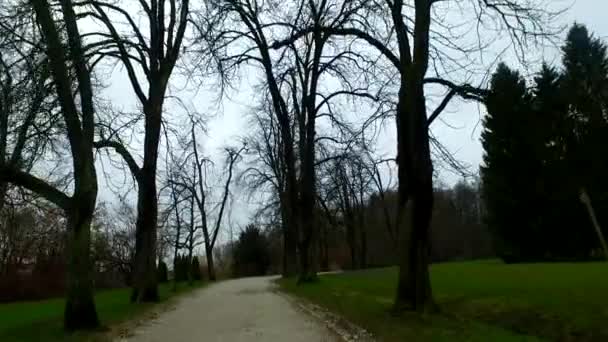 Caminar Parque Invierno Sin Nieve — Vídeo de stock