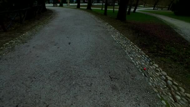 Chemin Effrayant Vide Dans Parc — Video