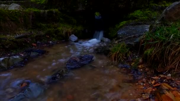 Water Stream Flows Rocky Obstacles — Stock video
