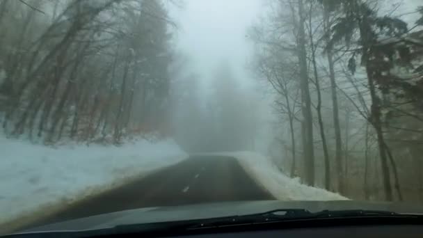 Felmenni Hegyre Ködös Időben Egy Autóval Stabilizált Kamera — Stock videók