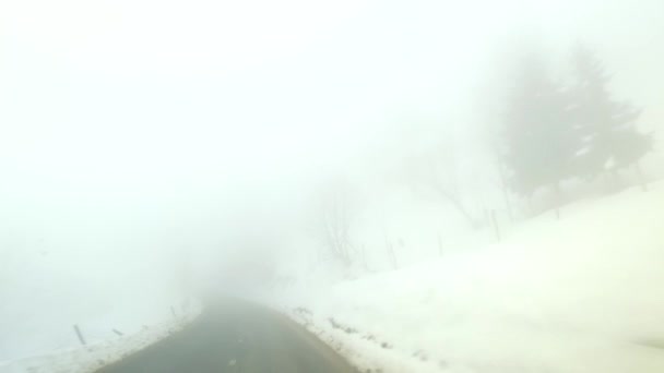언덕을 오르고 안개낀 안개낀 날씨에 갑니다 안정화 카메라 — 비디오