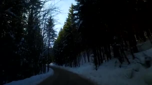 Subiendo Cuesta Arriba Clima Nebuloso Con Coche Cámara Estabilizada Usada — Vídeos de Stock