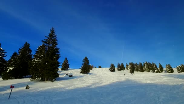 Sun Setting Winter Landscape Forests Meadow Footsteps Cold Winter Day — Αρχείο Βίντεο