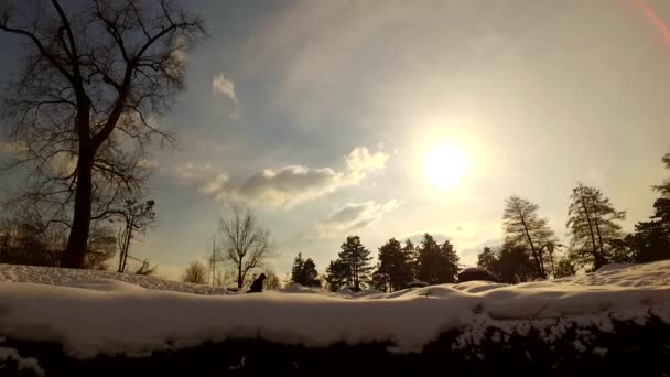 Schnee Und Kälte Winterpark — Stockvideo