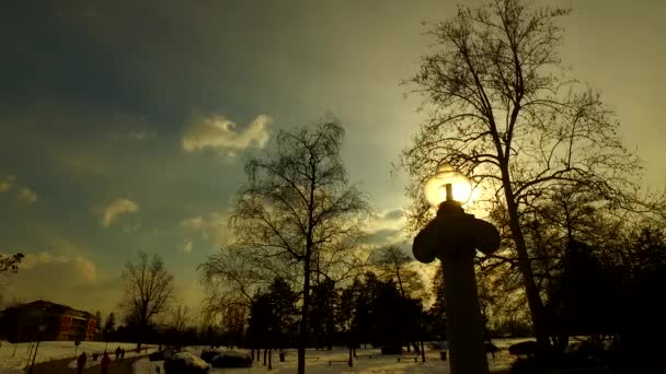 Dia Termina Parque Inverno Frio Pôr Sol Céu Nuvens Silhuetas — Vídeo de Stock