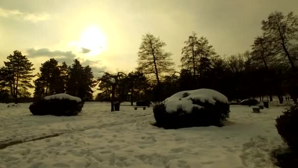 Day Ends Cold Winter Park Sunset Sky Clouds Silhouettes Trees — Stock Video