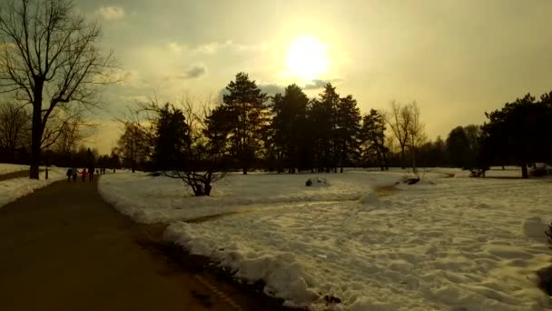 寒い冬の公園 空に沈む夕日 木々の雲とシルエット 一部の人々 — ストック動画