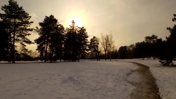 Dzień Kończy Się Zimowym Parku Zachód Słońca Niebie Chmury Sylwetki — Wideo stockowe