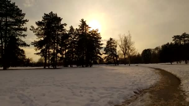 Dzień Kończy Się Zimowym Parku Zachód Słońca Niebie Chmury Sylwetki — Wideo stockowe