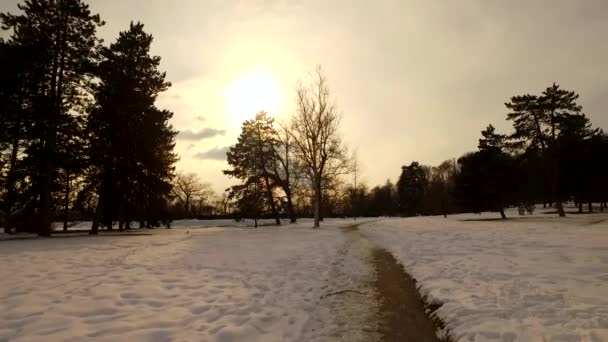 Gün Soğuk Bir Kış Parkında Sona Eriyor Gökyüzünde Gün Batımı — Stok video