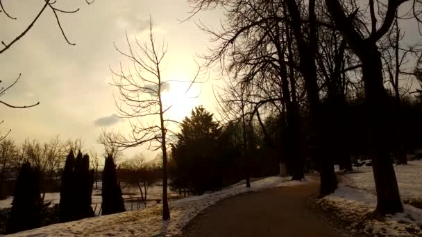 寒い冬の公園 空に沈む夕日 木々の雲とシルエット 一部の人々 — ストック動画